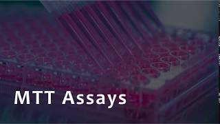 MTT Assay for Cell Viability