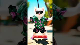 Cats Funny Dance