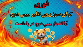 فوری: توکن سوزی بی نظیر بیبی دوج کوین | آیا انفجار در راه است ؟ | تحلیل کامل شرایط حساس بیبی دوج