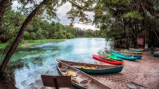 What to Know Before Kayaking Wekiva River