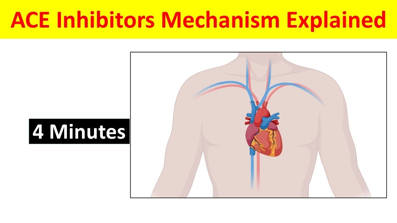 ACE Inhibitors Pharmacology | ACE Inhibitors: Mechanism and Side Effects Explained |