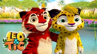 Leo and Tig 🦁 The Fastest Runner - Episode 39 🐯 Funny Family Animated Cartoon for Kids