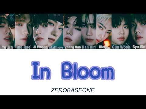 In Bloom - ZEROBASEONE【 カナルビ / 日本語訳 / 和訳 / ZB1 / ゼベワン/ ゼロベースワン 】