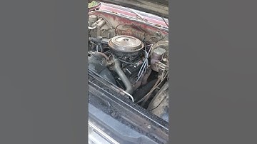 Bog and die when put in drive and given throttle