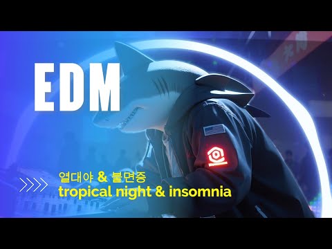 [EDM] 열대야 & 불면증 : tropical night & insomnia Remix