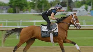 Arkansas Derby winner, Kentucky Derby runner-up Renegade trains for the Belmont Stakes