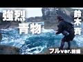 五島の磯で大型青物狙いのキャスティングゲーム！ 1/2 『SALT Dreamer 85』＜フルver＞【釣りビジョン】