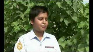 India's biofuels industry under scrutiny - 11 Jun 08