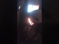مخاوى الذيب