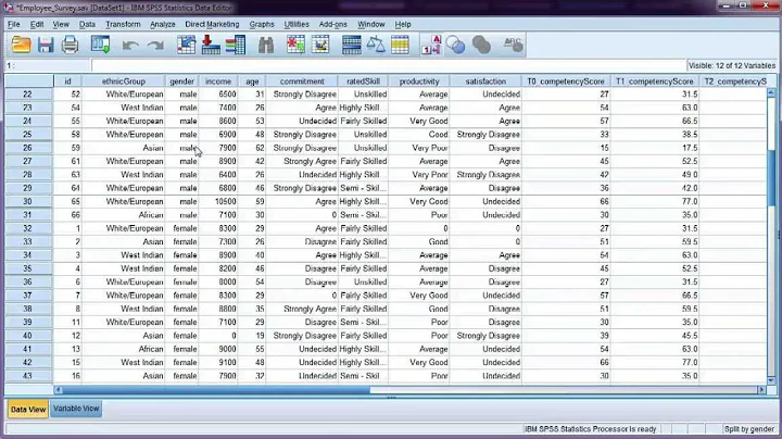 Split your data file by a categorical variable in SPSS