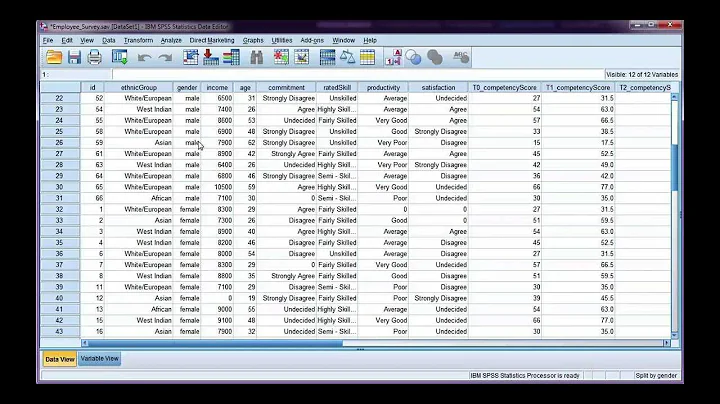 Split your data file by a categorical variable in SPSS