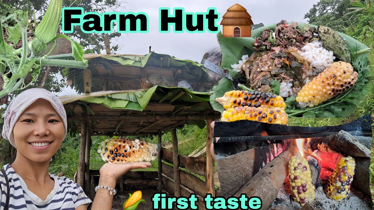 LIFE IN VILLAGE // MAKING OUR VEGGIES FARM HUT 🛖 //  FIRST TASTE🌽🌽NAGALAND 🍄🌽🥒