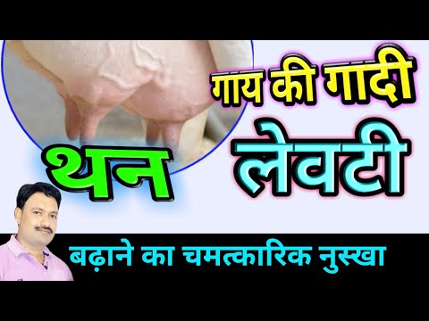 वीडियो: नाखूनों से टाइट्स कैसे लगाएं: रिप्स या रन से बचने के टिप्स