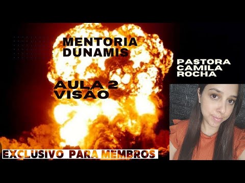 DUNAMIS AULA 2 VISÃO
