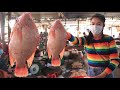 Salt baked whole fishes with tomato salad recipe / Red fish recipe / By Countryside Life TV