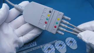 XDX10020H XDX10019D 0010-30-42719 EV620  compatible ecgtrunk cable IEC 5leads with 3 leads ECG leads