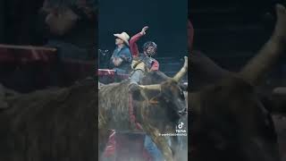 My second video I posted on Bull Riding  I'm on the Fence WARRIORS OR IDIOTS???