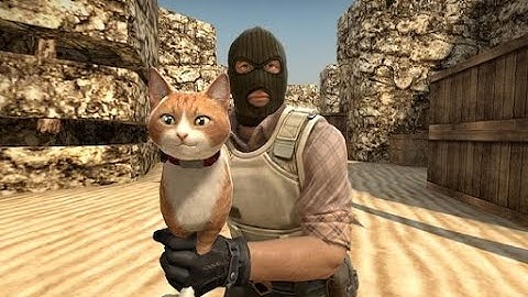 csgo cat edit
