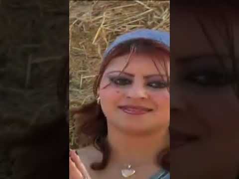CHEBA NABILA Chibani Rai Chaabi Chaabimarocaine Chaabi Provisound Cha3bi 