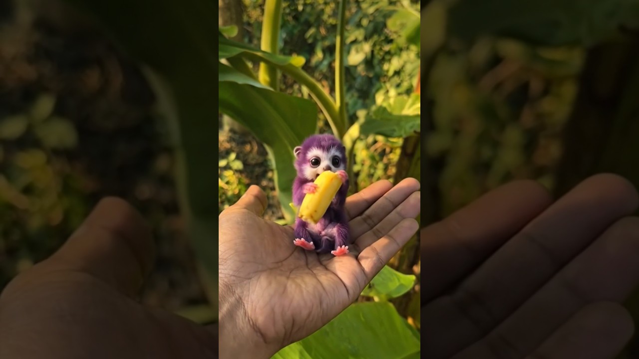 cute baby animal eating a small banana 