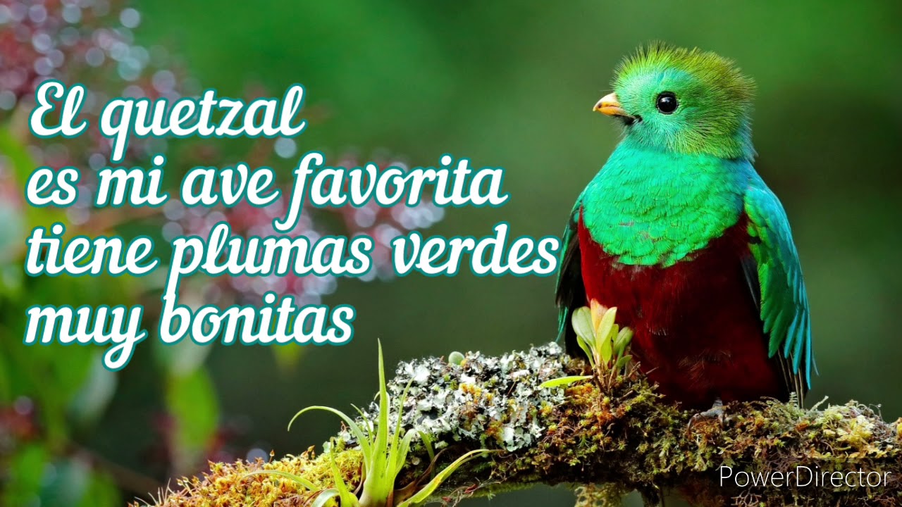 El Quetzal(cover)/Karaoke Pista/canción guatemalteca para niños YouTube