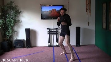 Learn Kenpo One Only basics strikes crescant kick