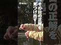第167回釣技最前線 #Shorts #マルキユー　#セットガン　#セット
