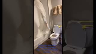Bathroom Fail 🚽 #Shorts