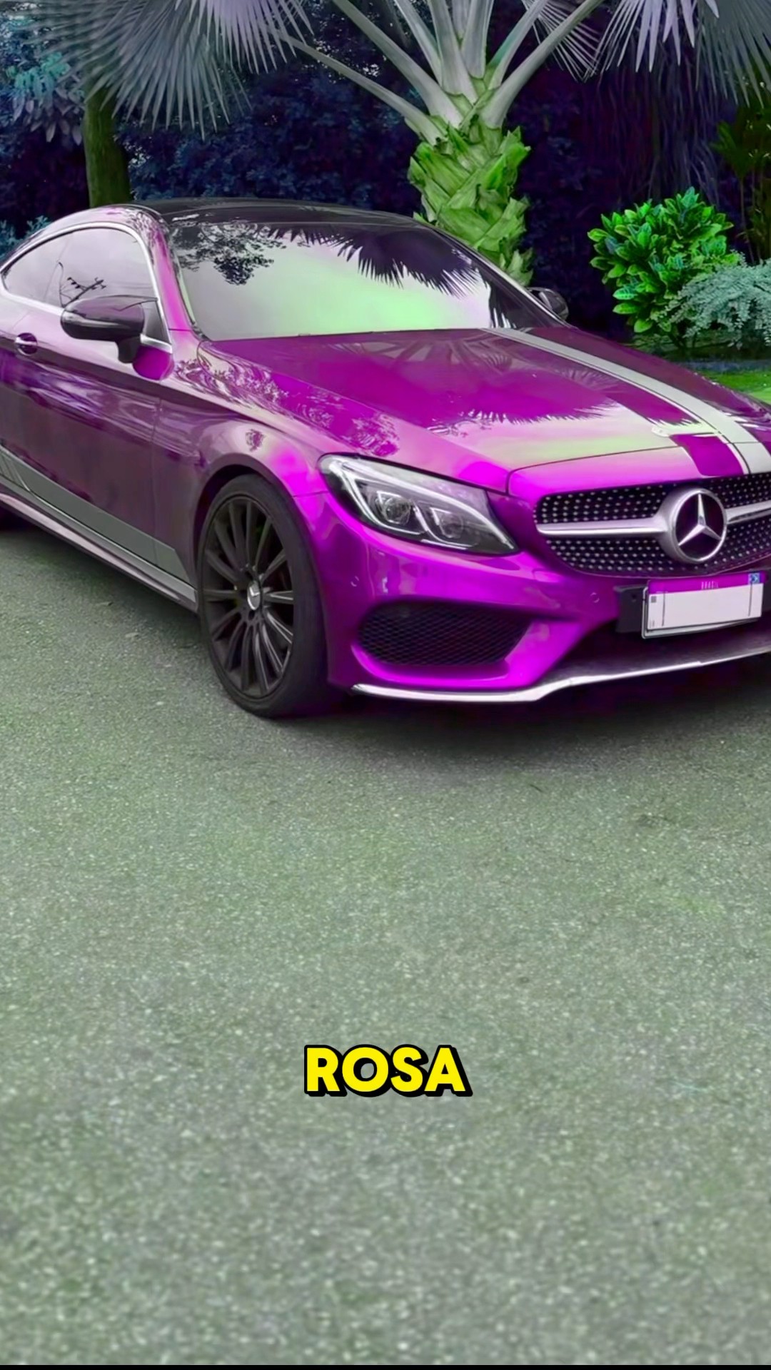 Ela pintou meu carro de rosa