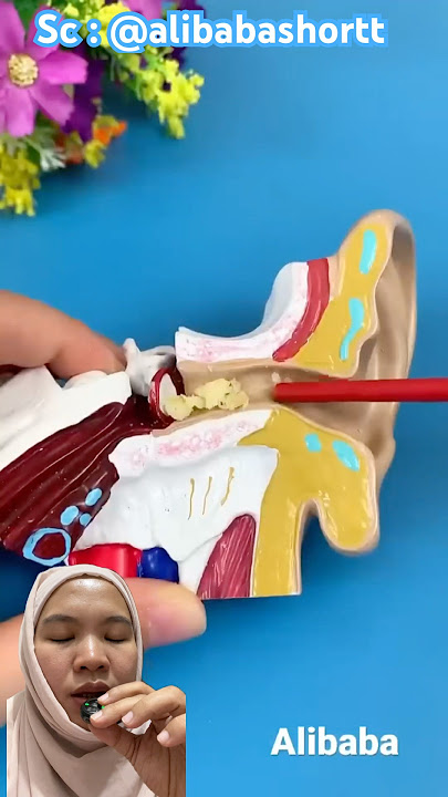 tool for removing earwax⁉️😁 @alibabashortt t'#shorts #lucu #funny #dubbing