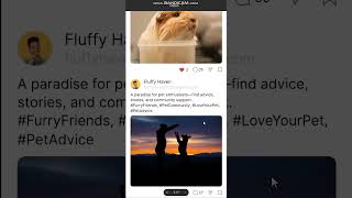 Explore the PetCo app! 🐕 From pet care tips to fun moments, everything you need to pamper your pets