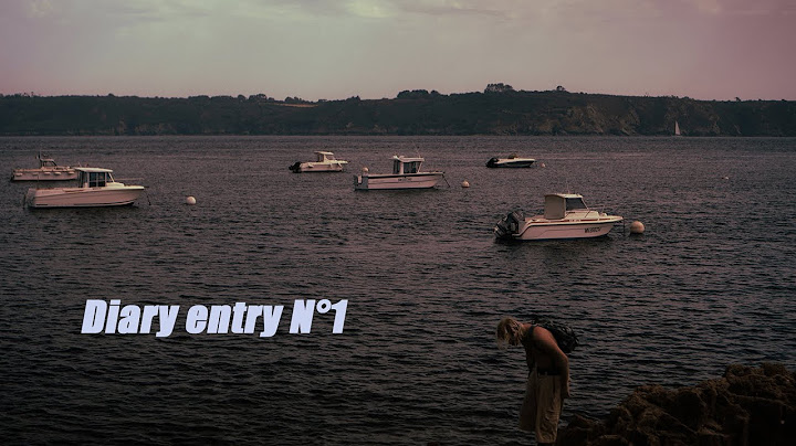 DIARY ENTRY N°1