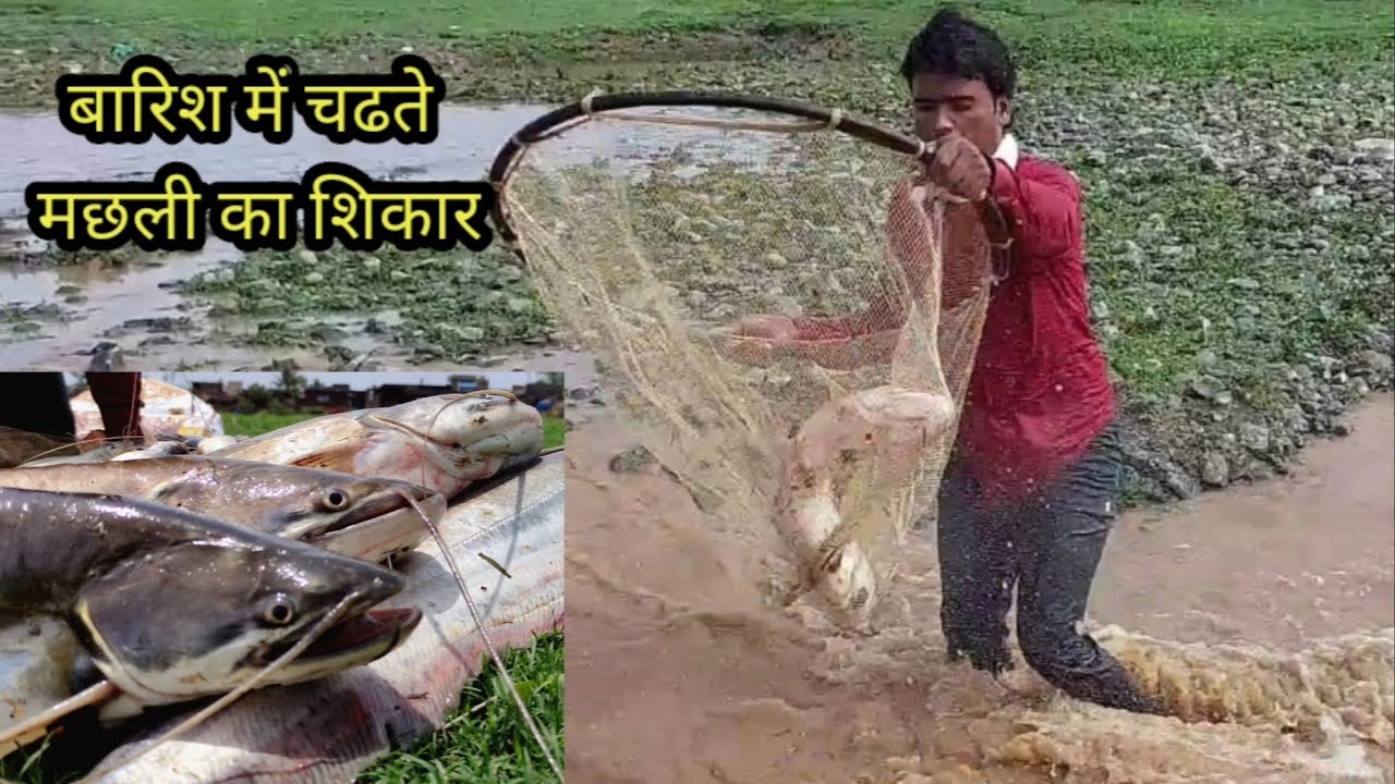 बारिश में चढते मछली का शिकार | चढणीचे_मासे | River fishing in the net | Monsoon fishing | Patan fish
