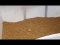 Barron Built Sheep Self-Feeder Review Barron Built Sheep Self-Feeder Review