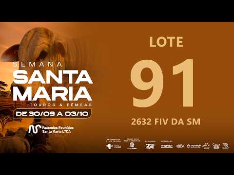 LOTE 91 FSM A2632