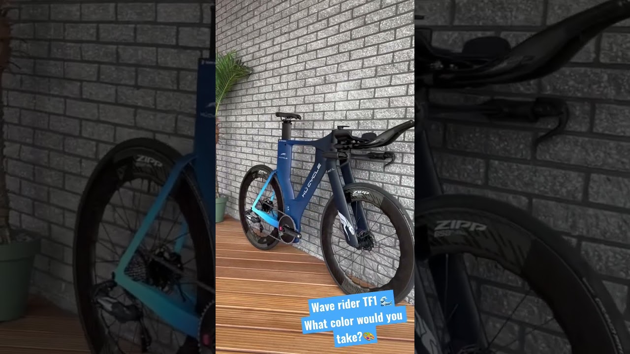 Wave Rider TF1🌊 Triathlon Bike 