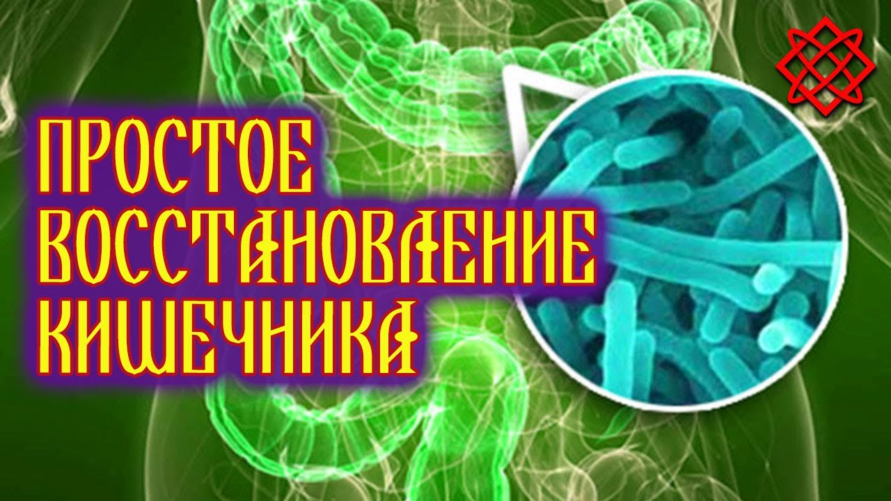 Быстрое восстановление микрофлоры кишечника. Лечение кишечника после ...