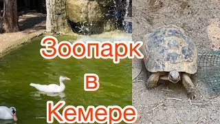 Анталия. Кемер. Зоопарк в Дино Парке .