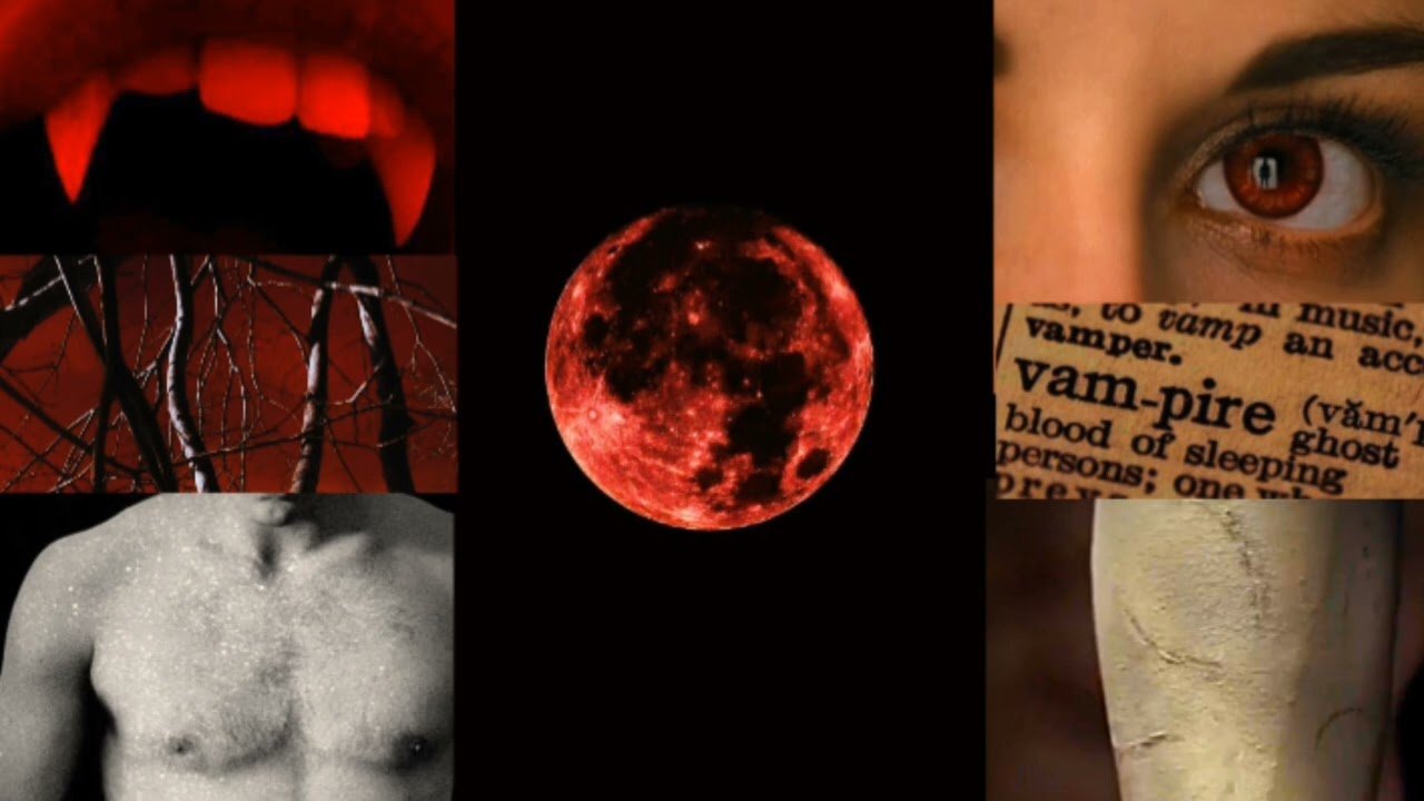 [Playlist] only vampire can love you forever 