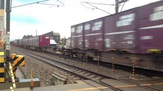 日本海縦貫線貨物列車3091レ 牽引機：EF81 723