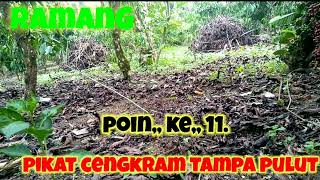 pikat cengkram tampa pulut.skali hantam langsung josss. .pawang lupa narok cctv.