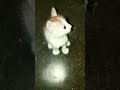 Cute and adorable baby kitten 🐾🐈 #shorts