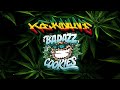 Ragga jungle deep dark reggae drum  bass mix  badazz cookies