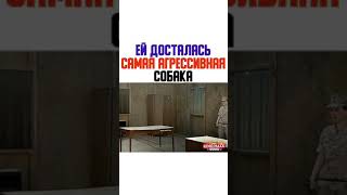 ЕЙ ДОСТАЛАСЬ САМАЯ АГРЕССИВНАЯ СОБАКА