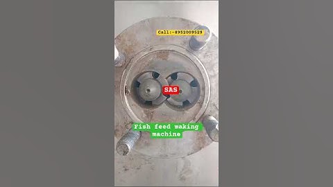 Fish feed making plant, twin screw extruder, #fishfeedmachine #smallbusiness #twinscrewextruder