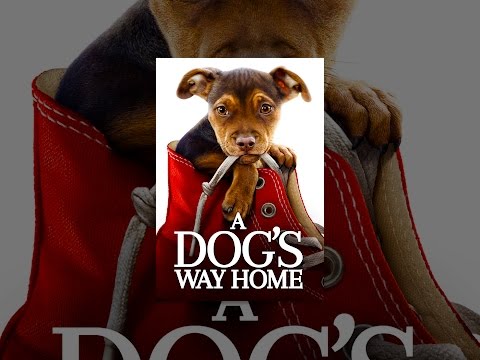 A Dog's Way Home