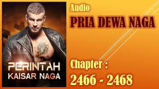 Perintah Kaisar Naga * Pria Dewa Naga * Bab 2466-2468