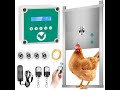 Automatische Hühnerklappe - Ihr exklusiver Zuchtexperte