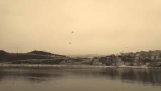 Reisin Gemisi  (Deniz Tekin-Beni Vur)