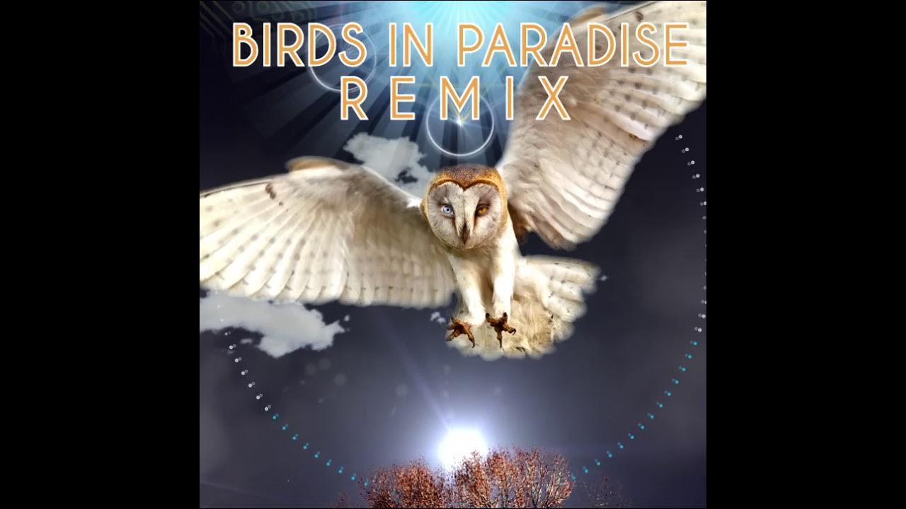 All My Love (Jonny Joon Remix) All My Love (Jonny Joon Remix)
